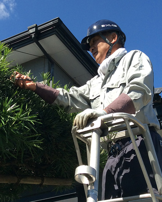 つくし乃園｜植木、芝生の張替、造園